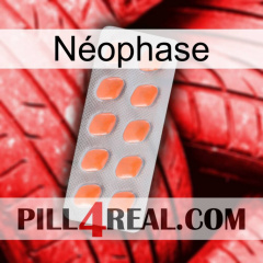 Néophase 26